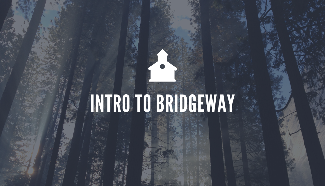 Intro to Bridgeway